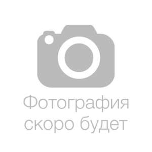 ar719 браслет игольница лиса 24см бс купить по цене 134 руб - в интернет-магазине Веллтекс | Томск
