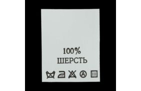 с107пб 100%шерсть - составник - белый (200 шт.) купить по цене 150 руб - в интернет-магазине Веллтекс | Томск
